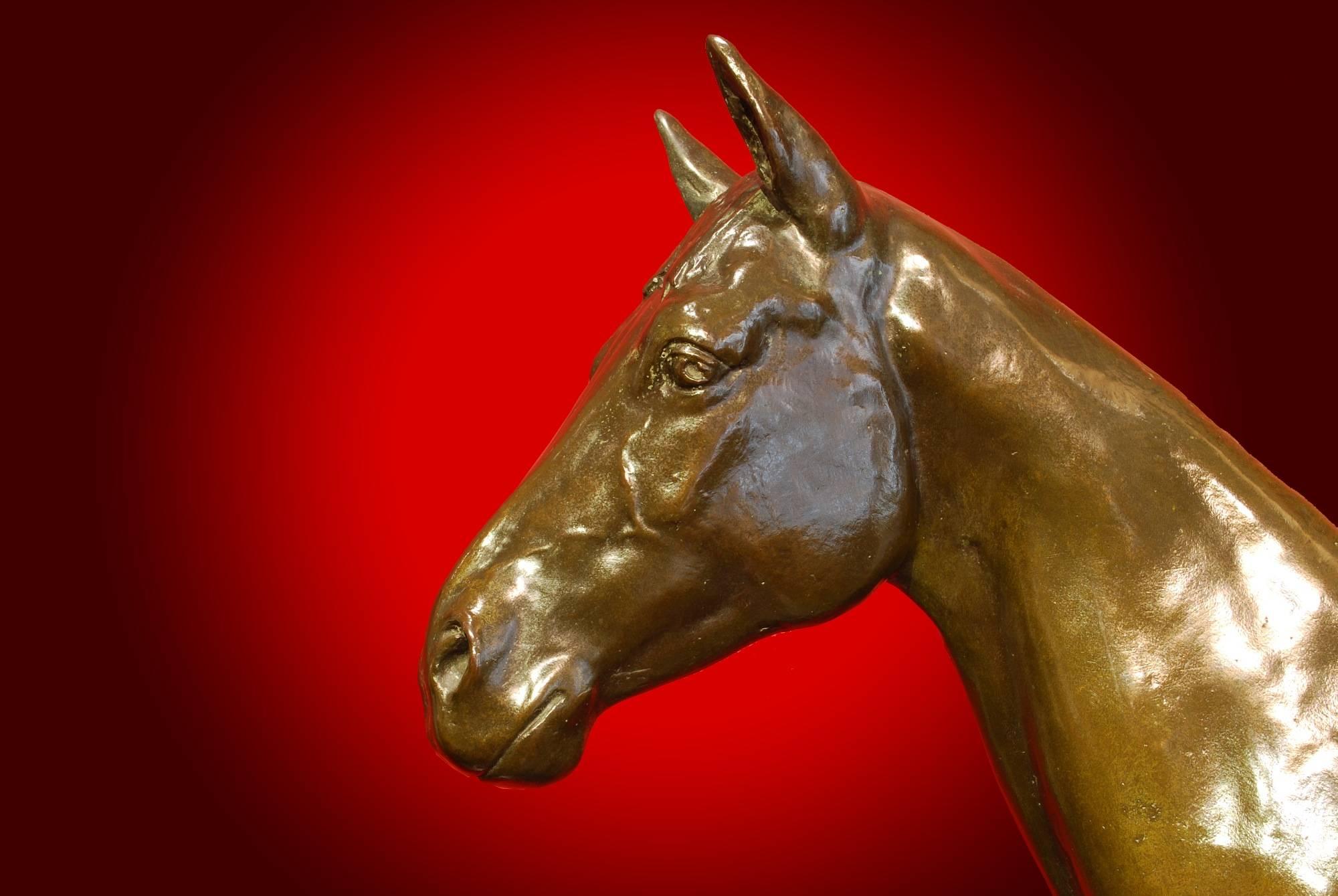 Magnificent and Very Large Solid Bronze Horse Titled 'Eremon 1907' In Excellent Condition For Sale In London, GB