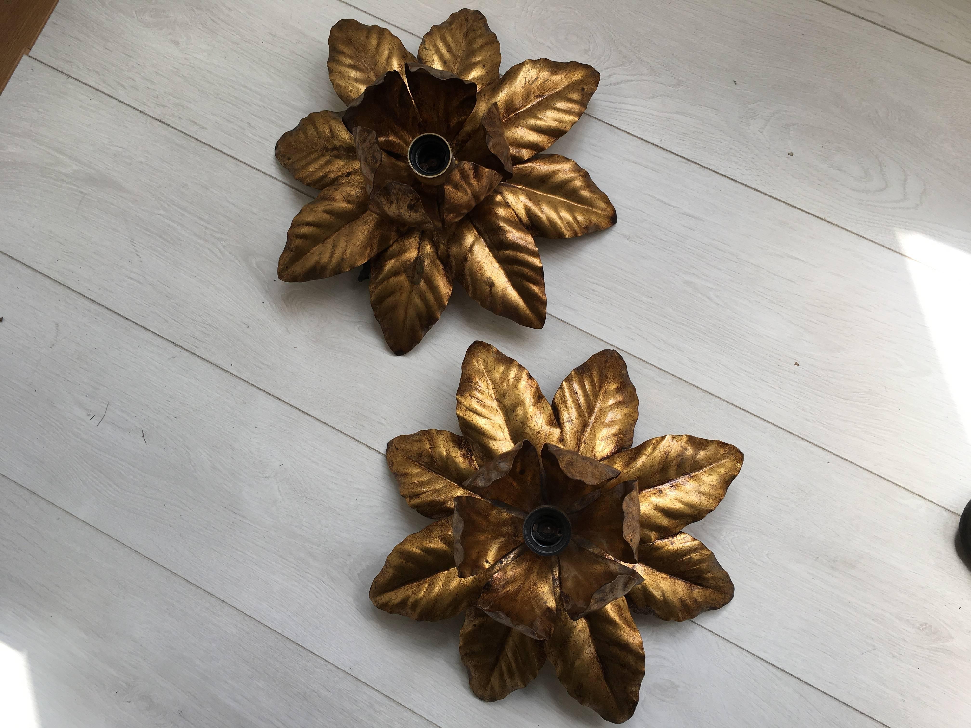 Fantastic pair of Mid-Century gilt metal floral sconces from Italy.

Measure: 38 cm across.
