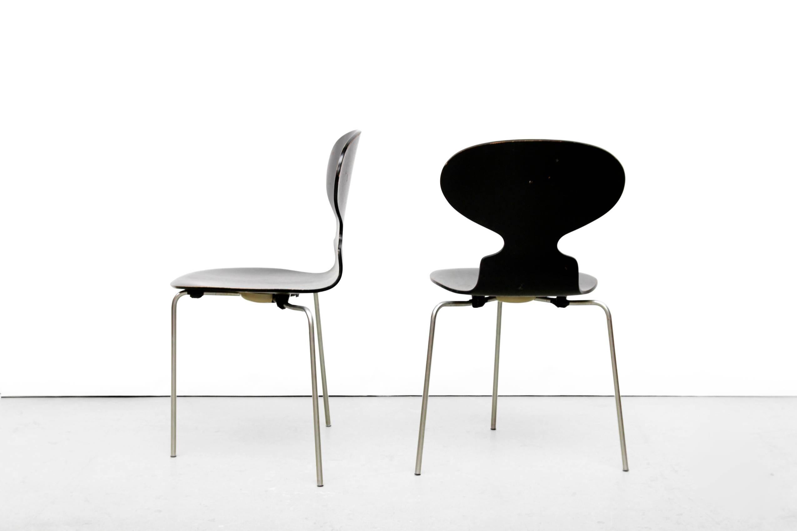 Mid-Century Modern Model FH 3100 Ant Chairs by Arne Jacobsen for Fritz Hansen, 1969, Set of Six