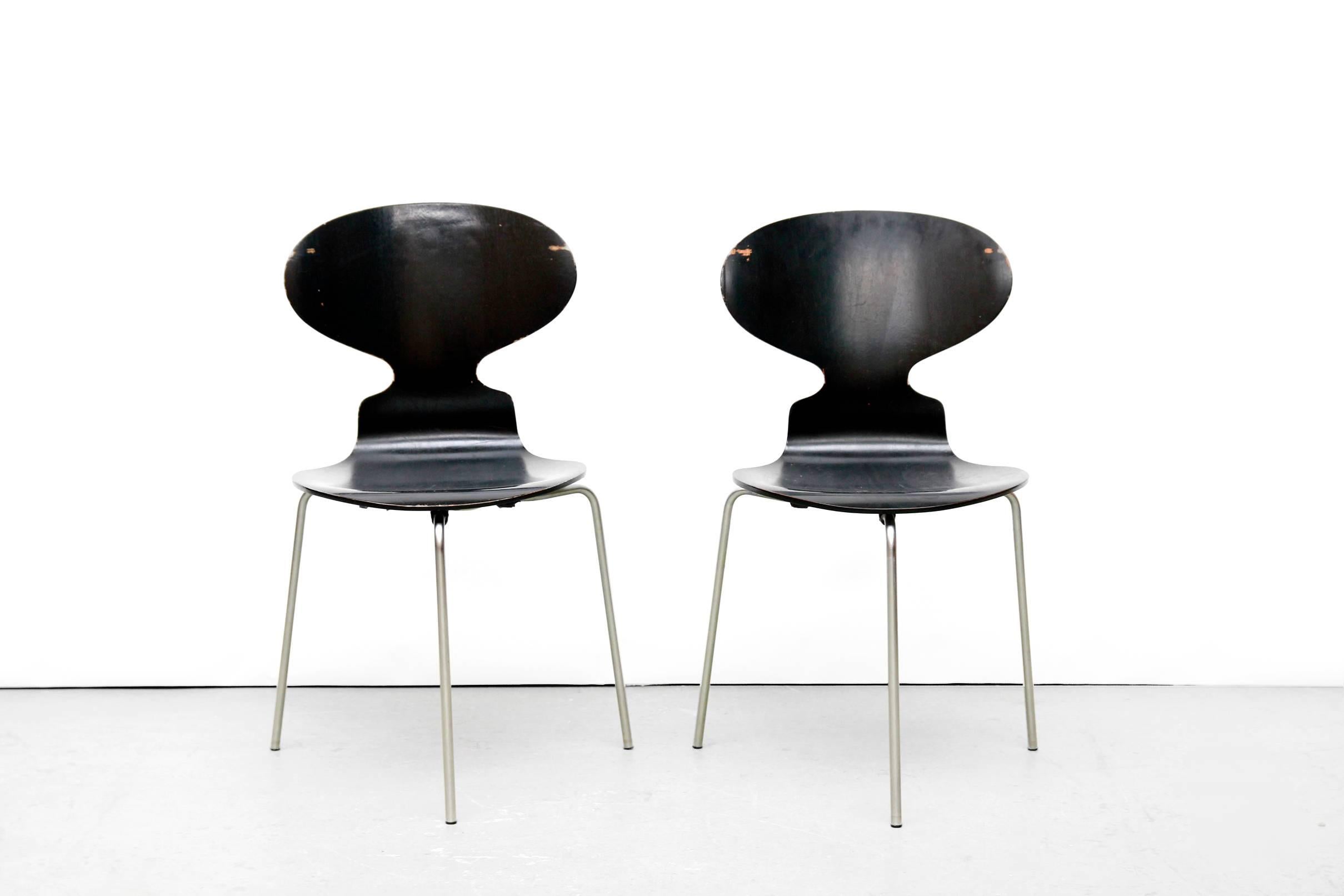 This set of six chairs was designed by Arne Jacobsen and manufactured by Fritz Hansen, Denmark in 1969. 
The official name of the chairs is Model number 3100, but they are also called The Ant because of their shape. The chairs are made from