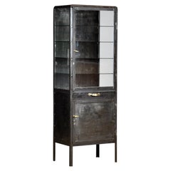 Cabinet médical en fer poli, années 1950