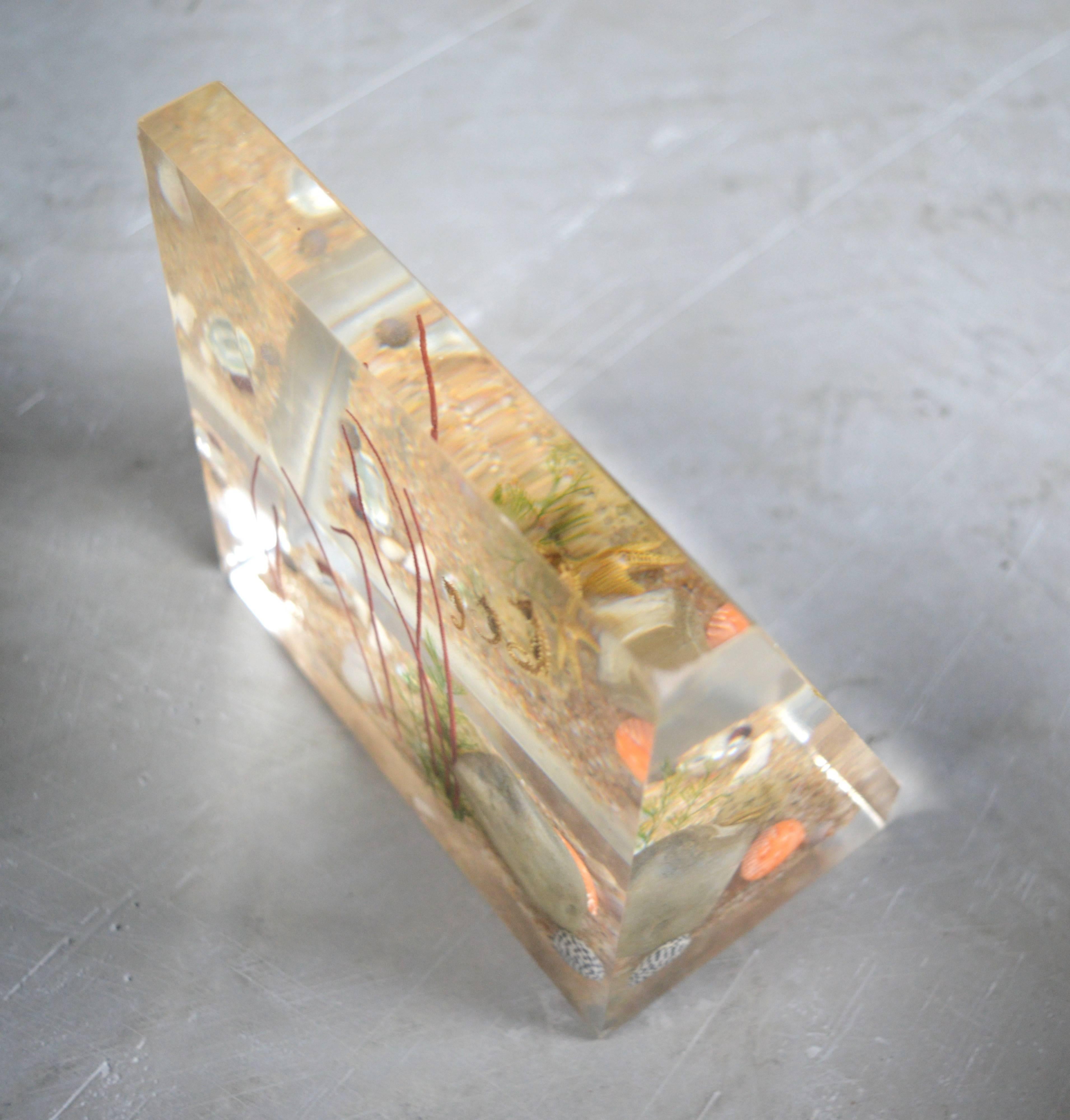 Lucite Bookends 1