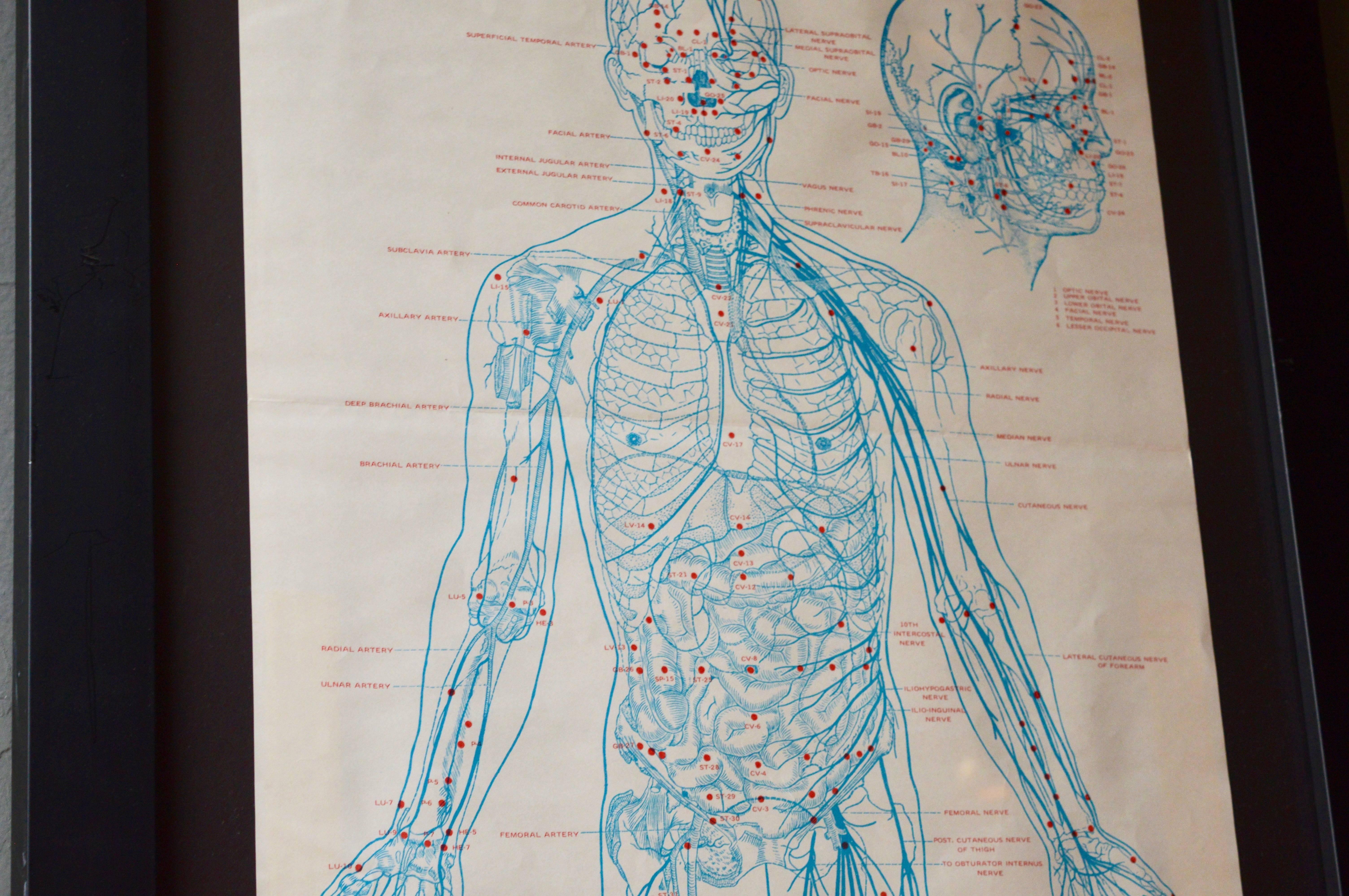 Set of Five Large 1970s Acupuncture Charts In Good Condition For Sale In Los Angeles, CA
