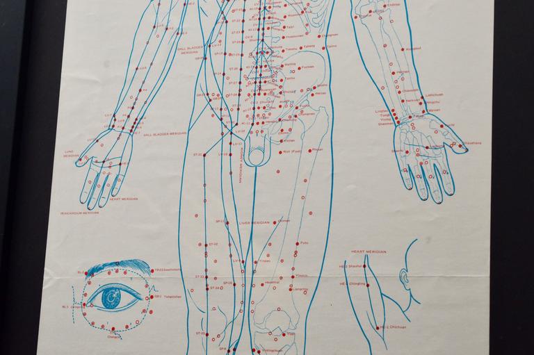 Acupuncture Charts For Sale