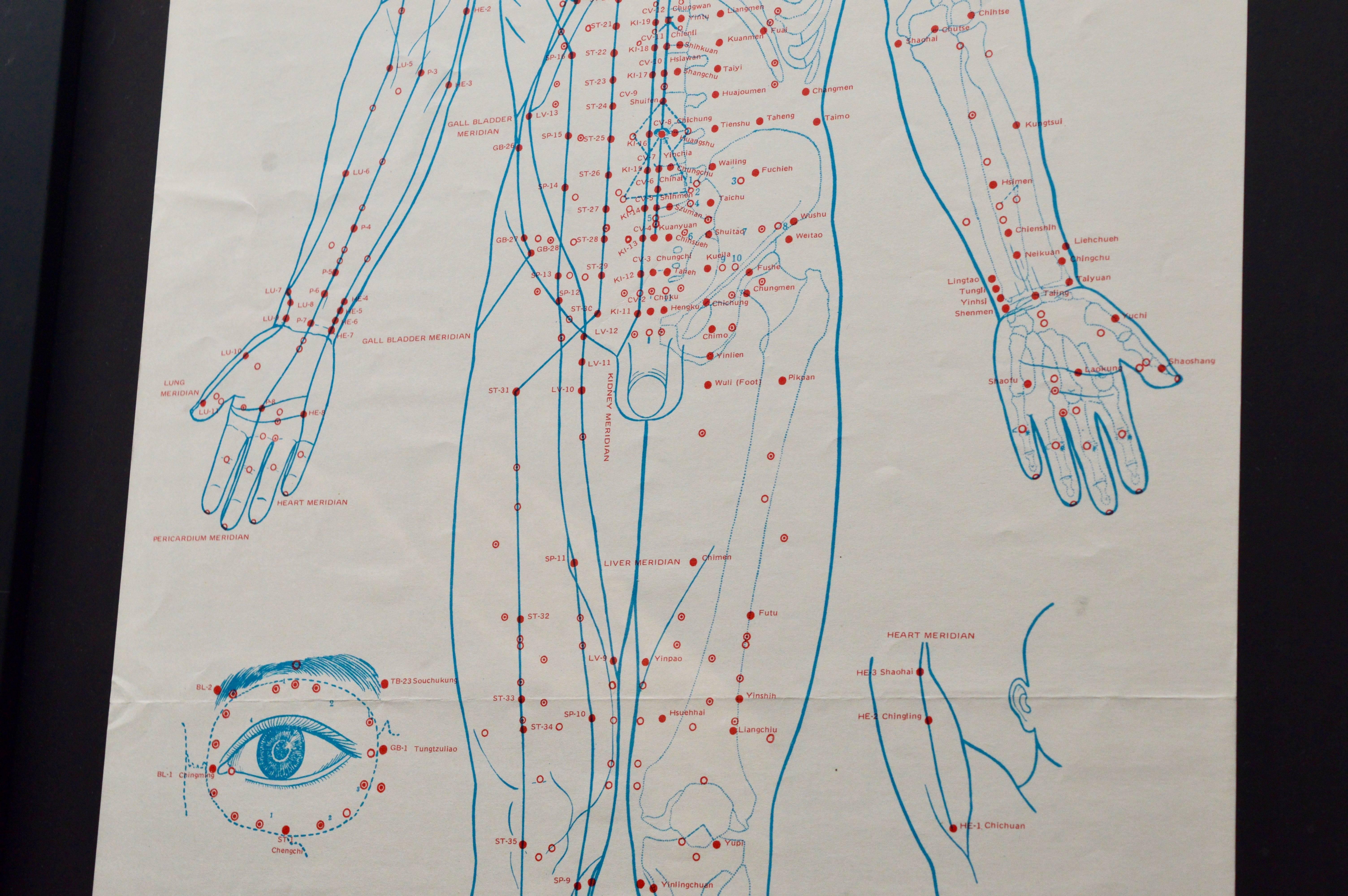 American Set of Five Large 1970s Acupuncture Charts For Sale