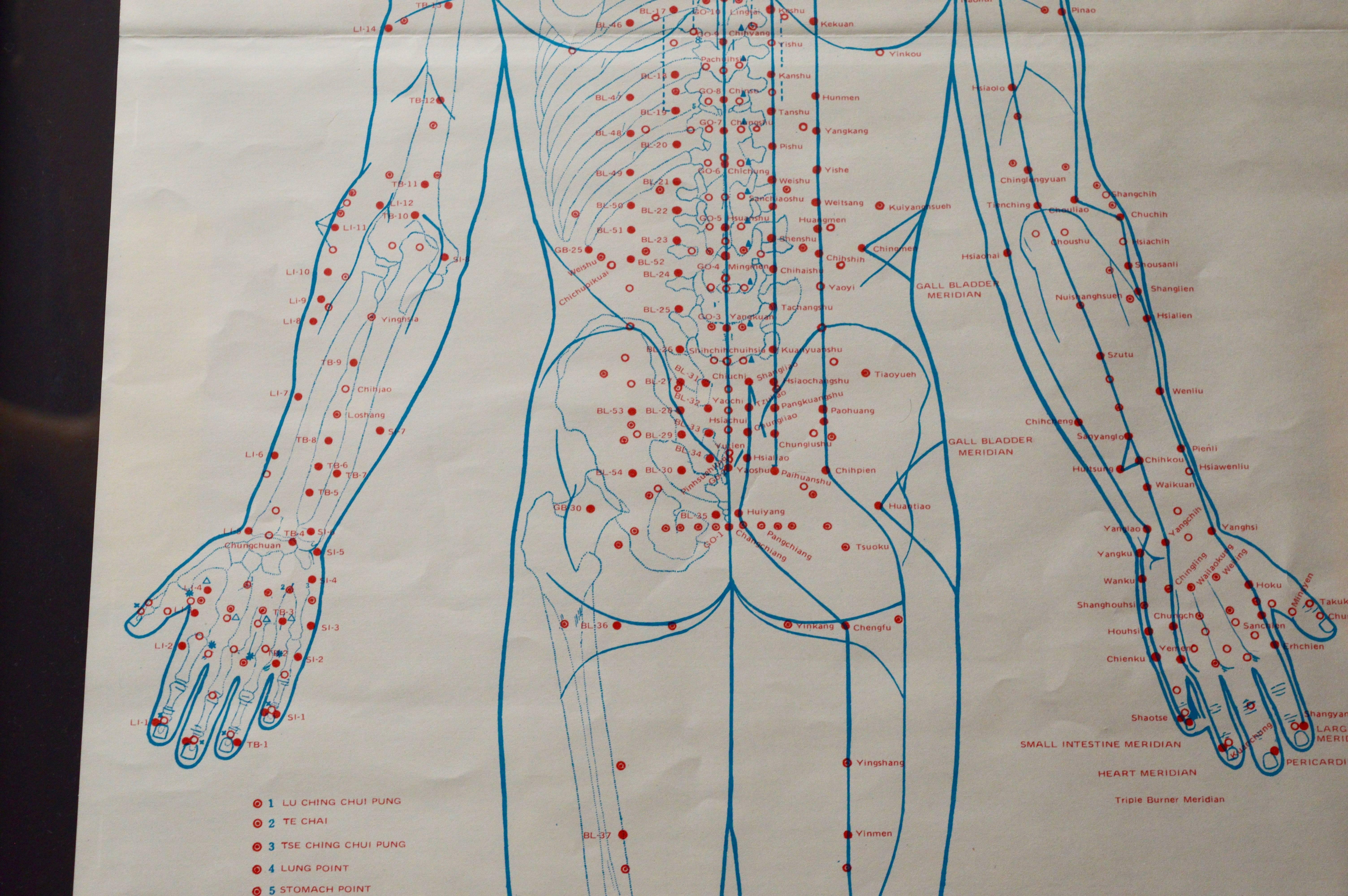 Great set of acupuncture charts from the 1970s. Extremely detailed and thorough diagrams showing every part of the human anatomy. Charts in good vintage condition. Floating on black matting in a new black frame. Sold as a set of five. 

Size below
