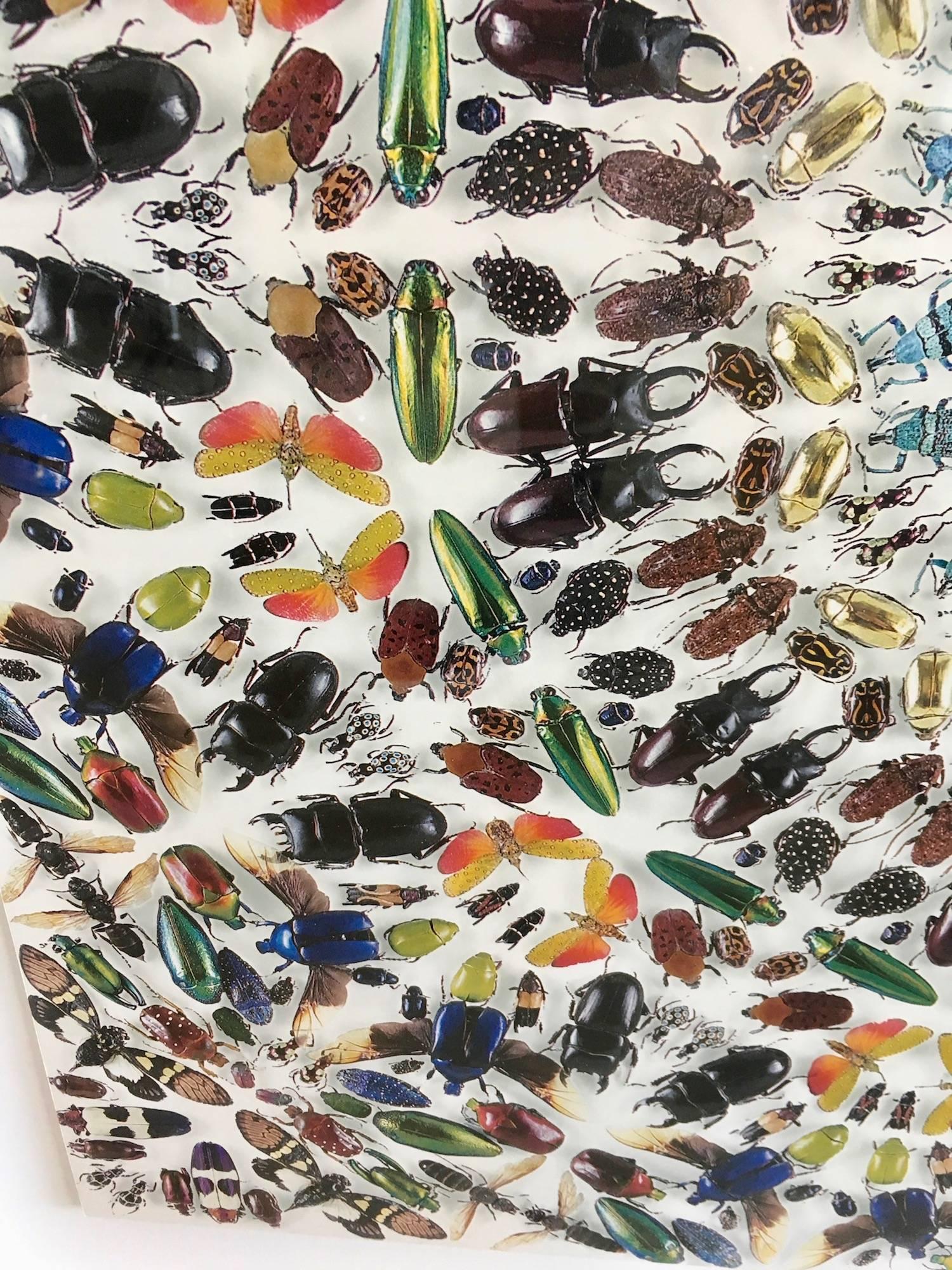 Damien Hirst Entomology Wallpaper In Excellent Condition In Los Angeles, CA