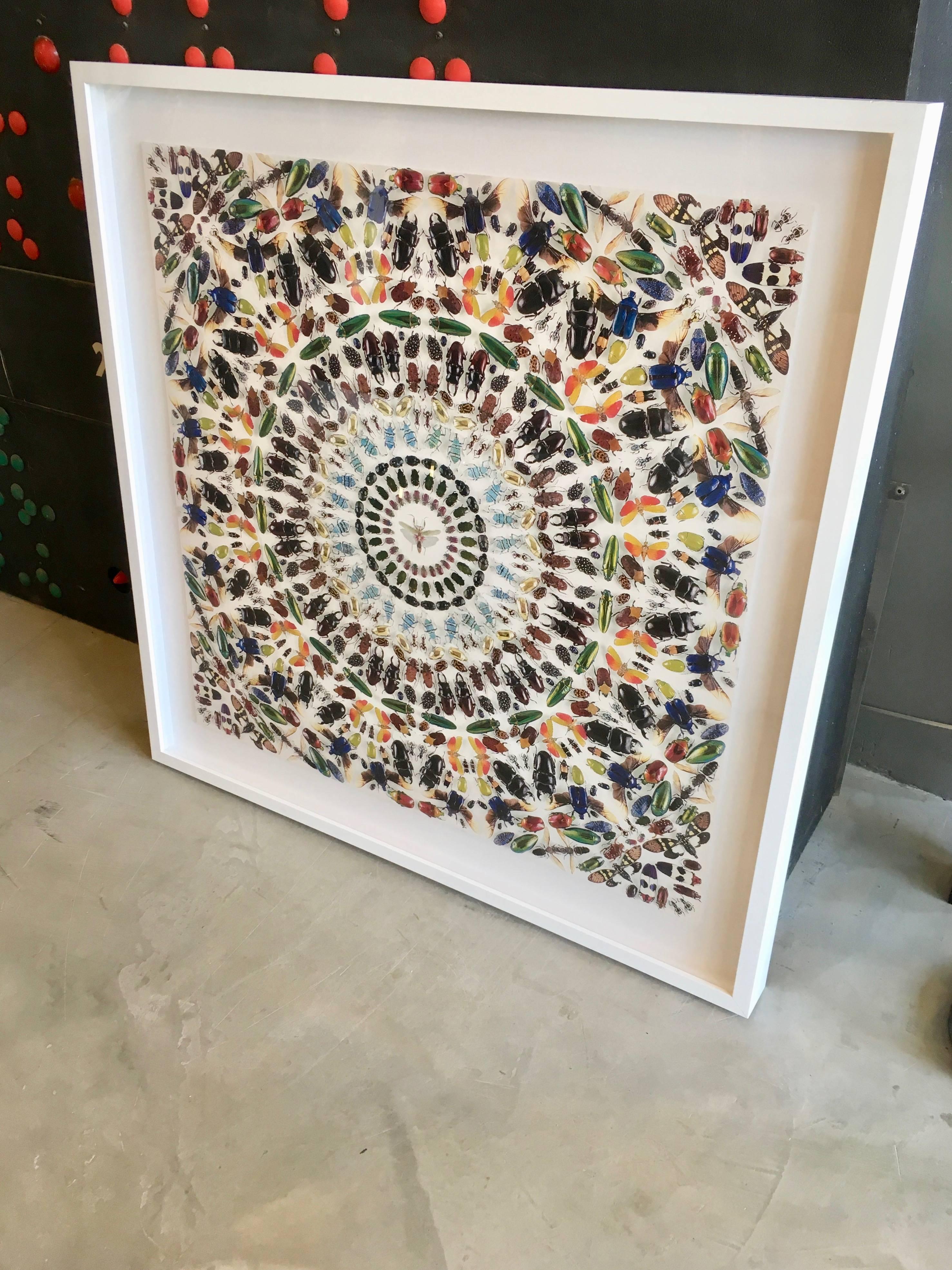 Cool piece of wall art by Damien Hirst. This wallpaper block features hundreds of different insects arranged in a kaleidoscope. Floated and newly framed.