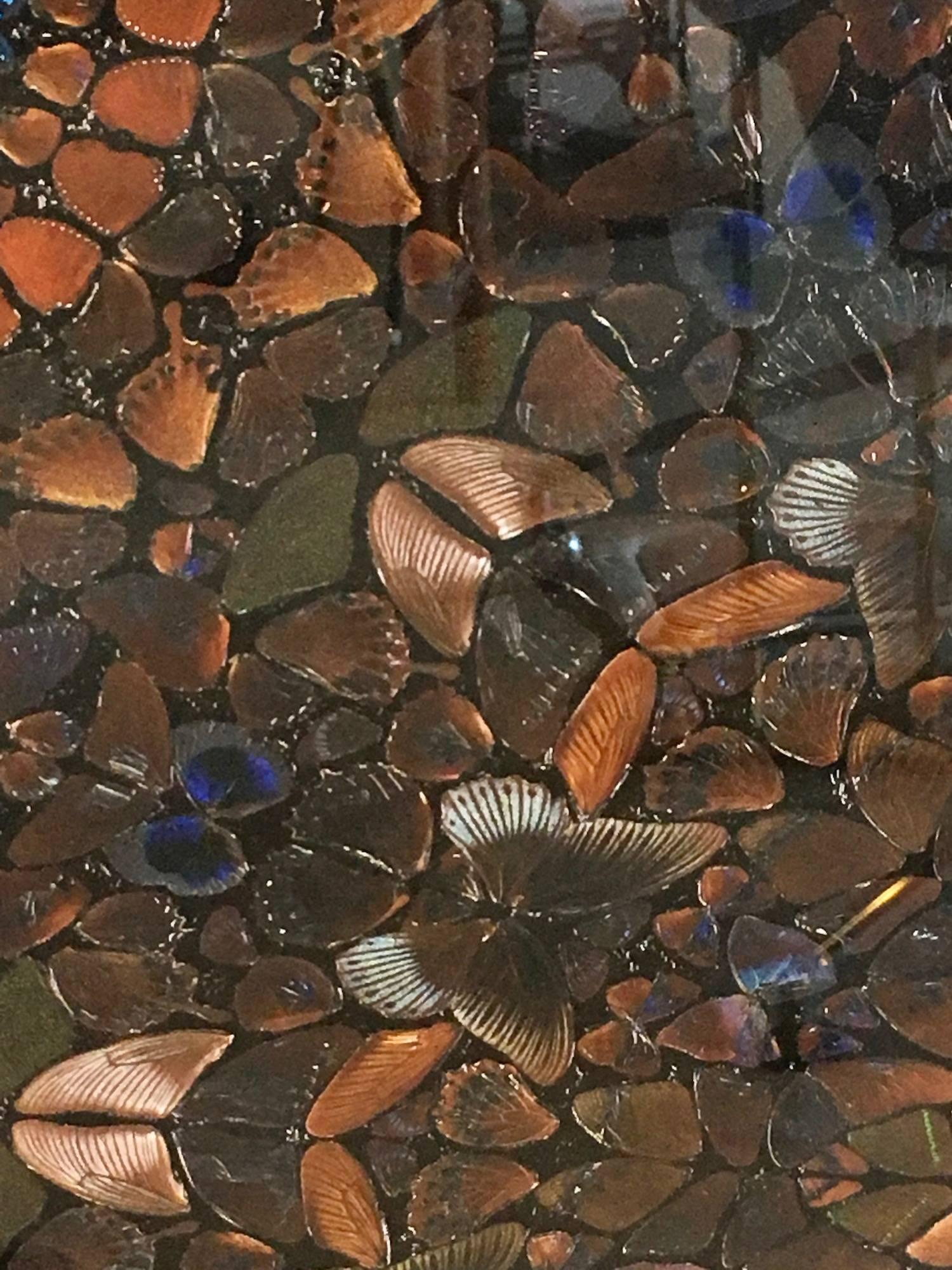 Damien Hirst Butterfly Wallpaper at 1stDibs | damien hirst wallpaper