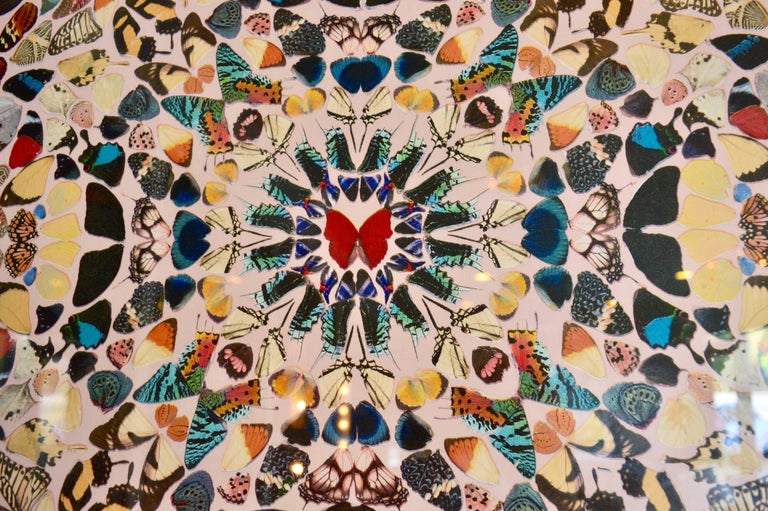 Damien Hirst Butterfly Kaleidoscope Wallpaper Unframed For Sale At 1stdibs