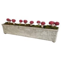 Set of 13 Sculptural Concrete Mushrooms planted in Willy Guhl Trough Planter