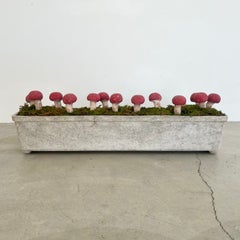Set of 13 Sculptural Concrete Mushrooms planted in Willy Guhl Trough Planter