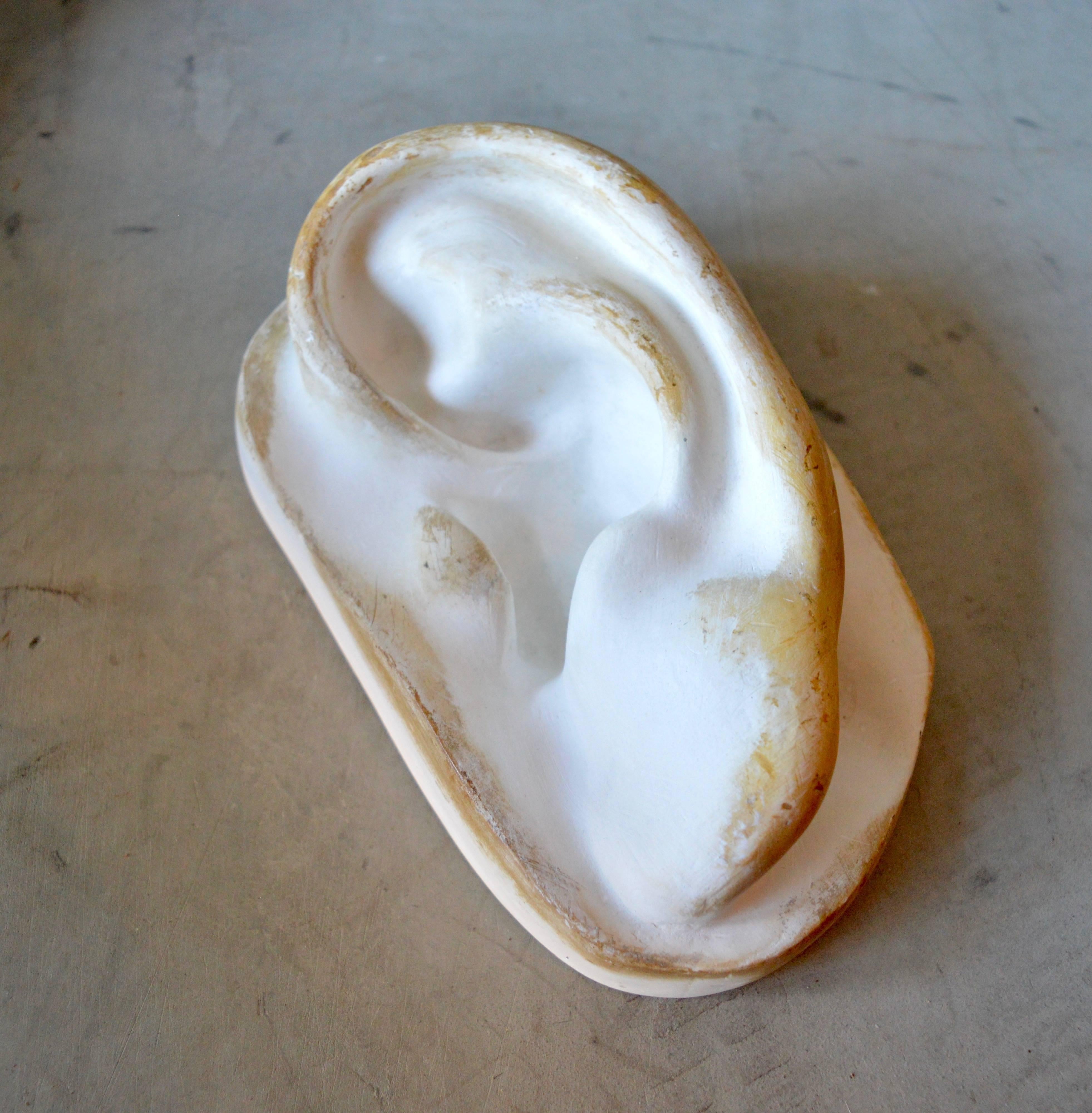 American Sculptural Plaster Ear