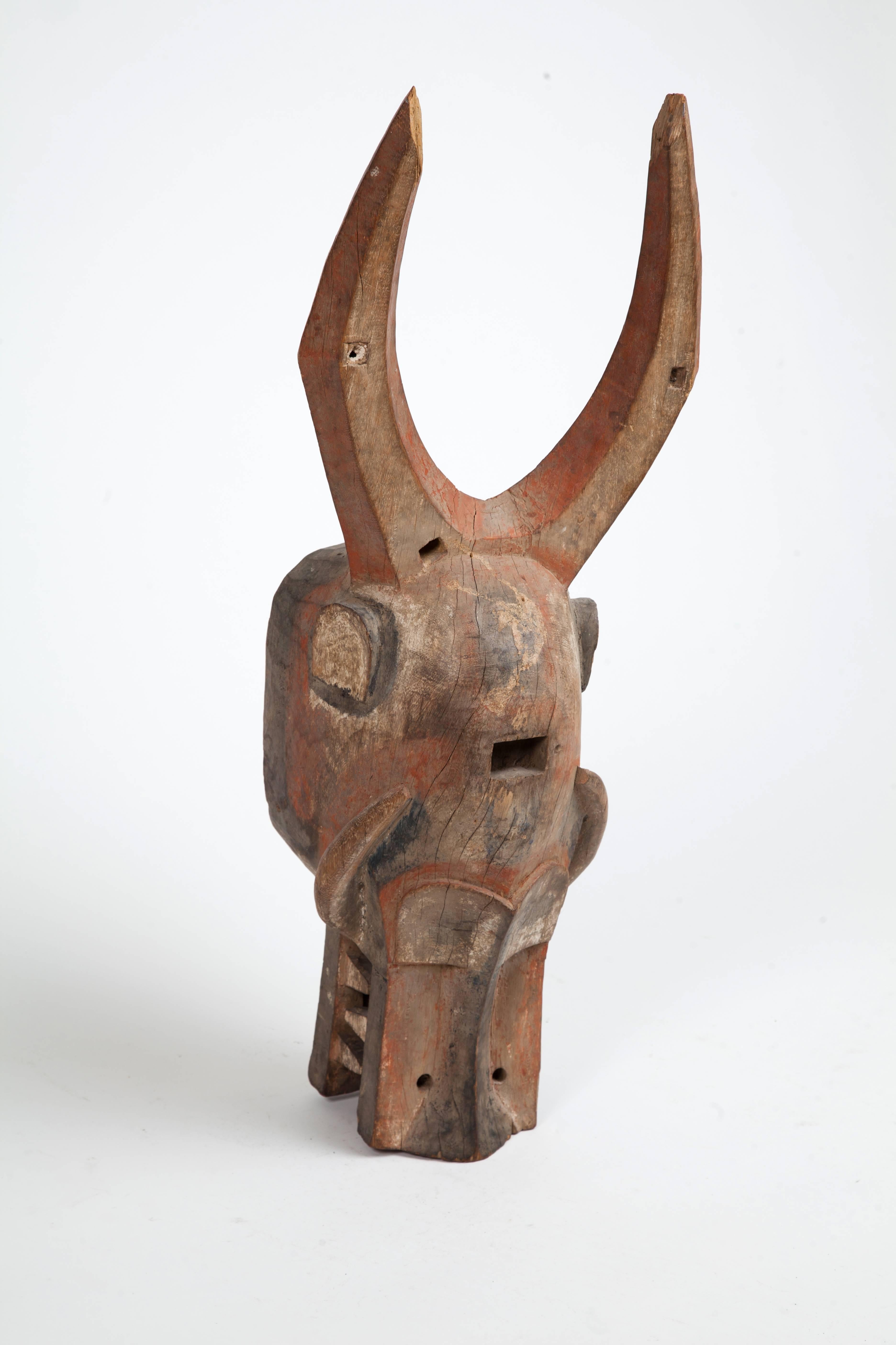 Very fine antique African Senufo cow mask. Ivory Coast, early 20th century. Great color and condition.