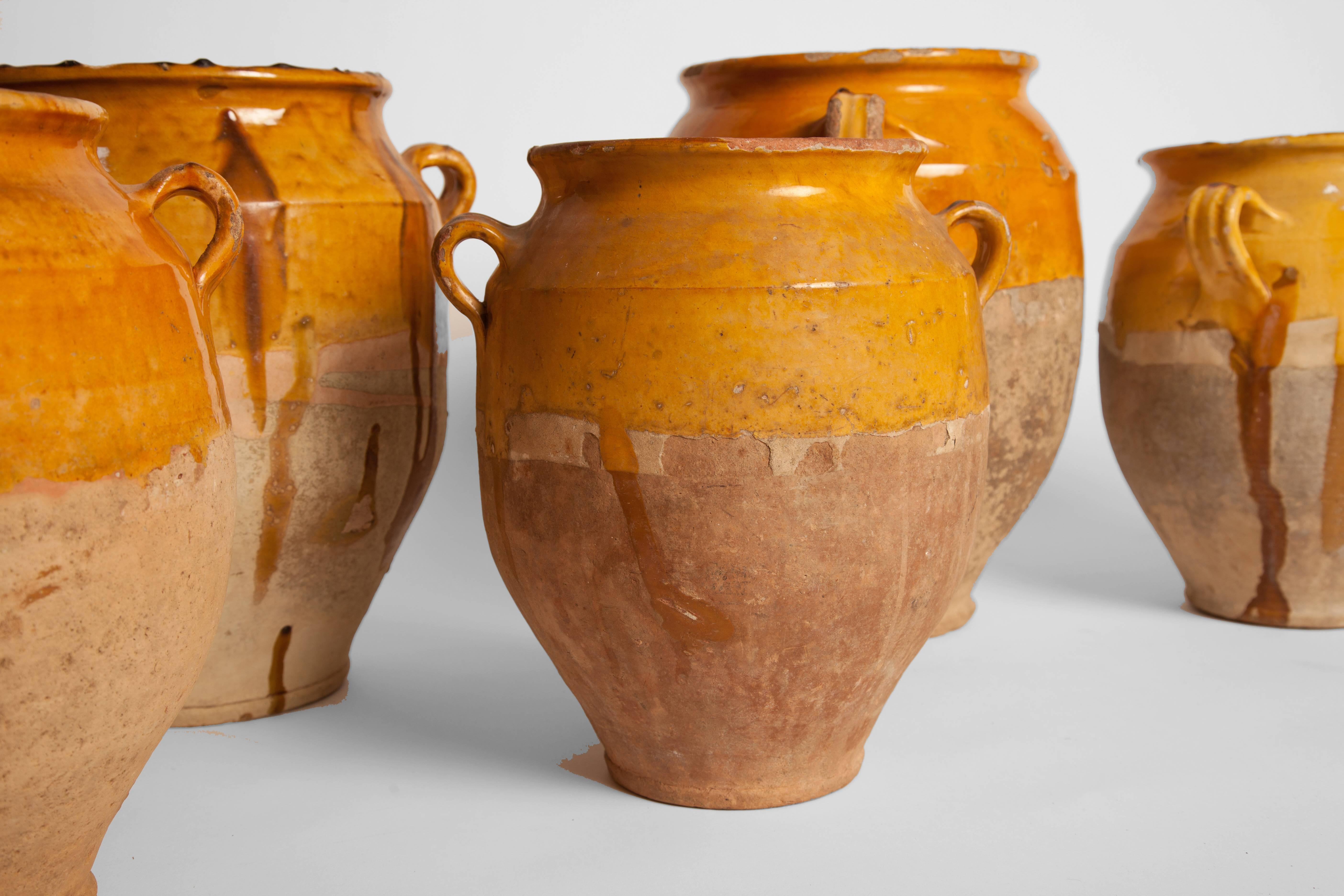 French Provincial Collection of Five Large Confit Jars