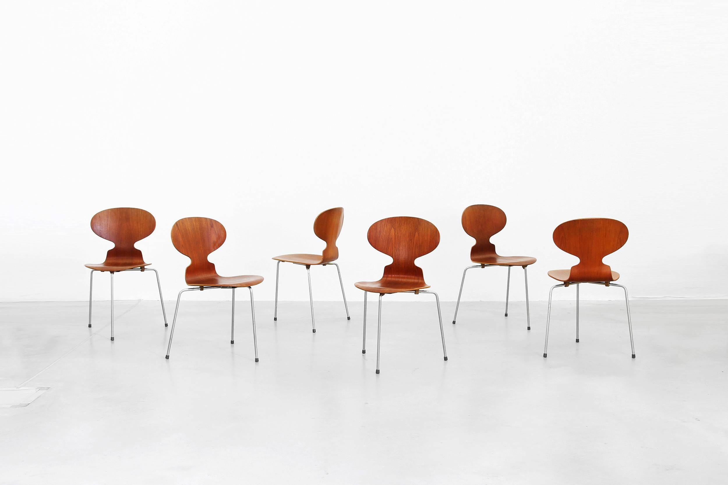 Ensemble de six chaises de salle à manger en teck 3100 d'Arne Jacobsen pour Fritz Hansen 3