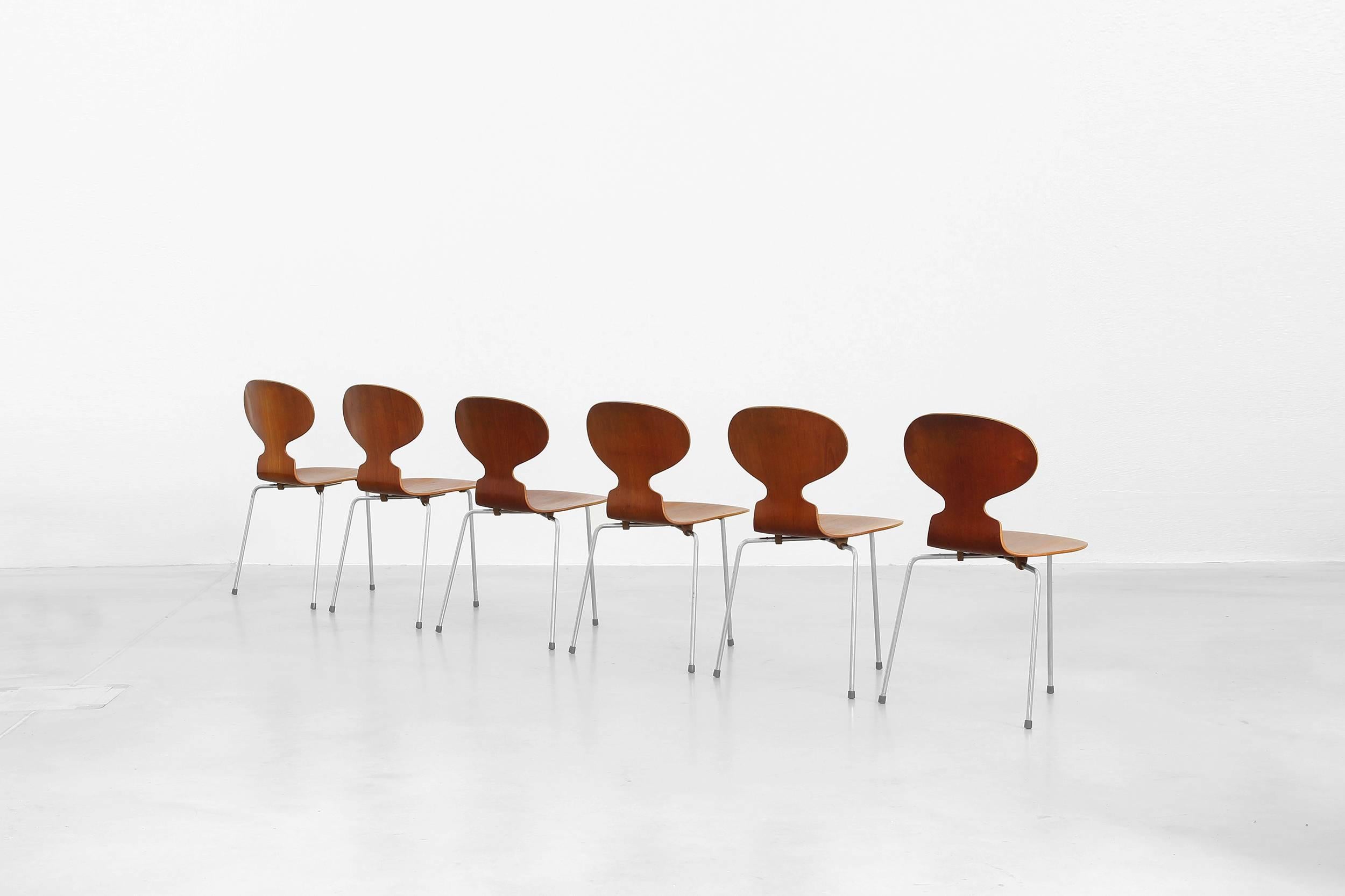 Danish Set of Six Teak Ant Dining Chairs 3100 by Arne Jacobsen for Fritz Hansen