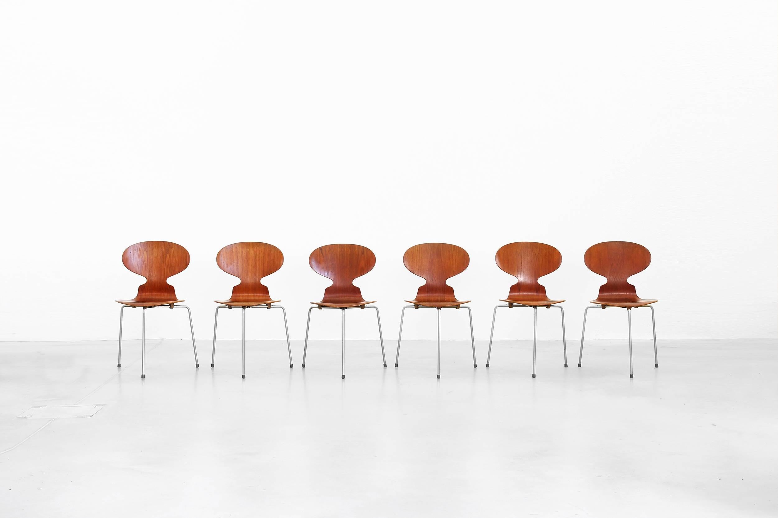 Set of Six Teak Ant Dining Chairs 3100 by Arne Jacobsen for Fritz Hansen In Good Condition In Berlin, DE