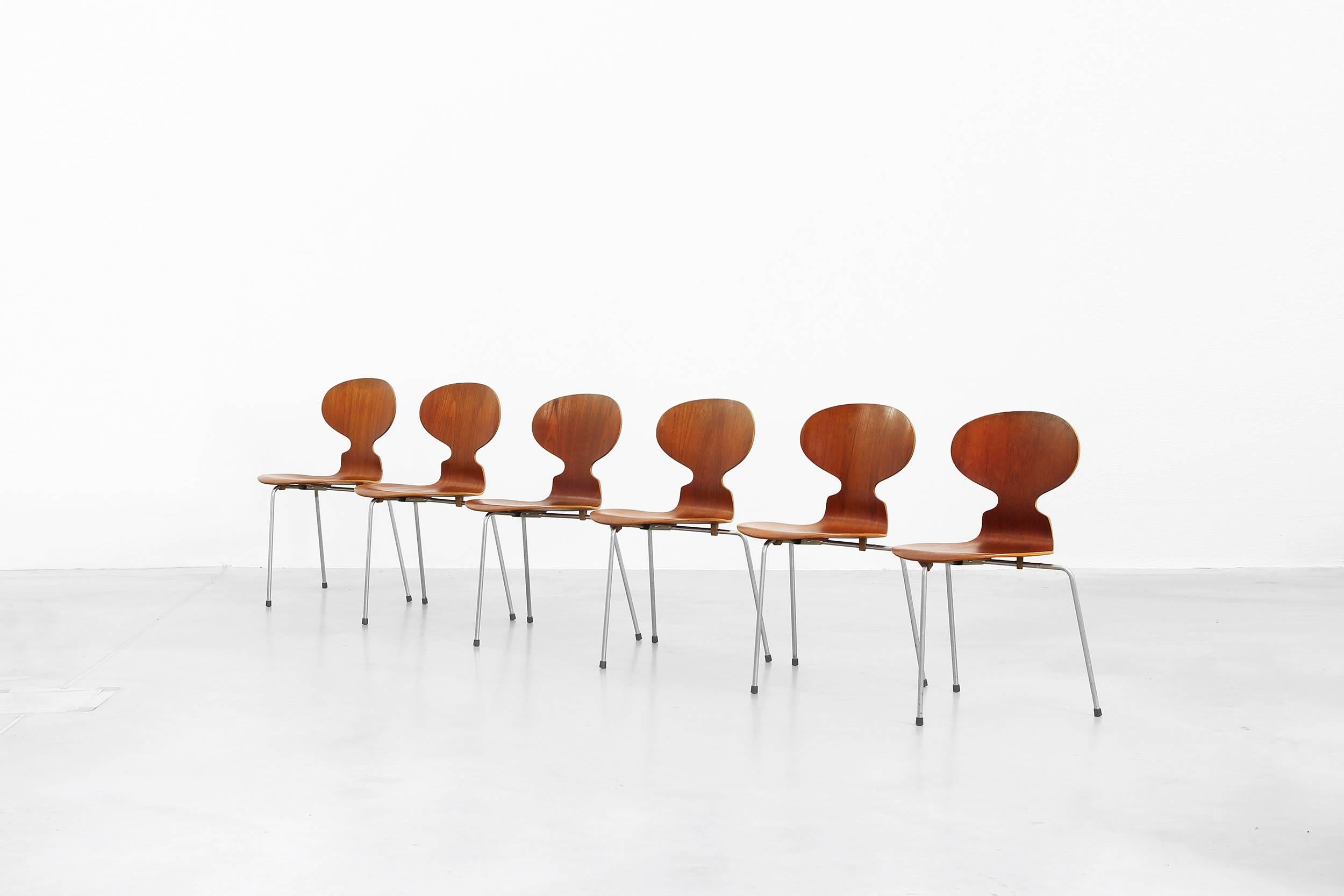 Un ensemble de six chaises Fourmi Mod. 3100 conçues par Arne Jacobsen pour Fritz Hansen en 1952, fabriquées au Danemark. Toutes les chaises sont en teck et sont en bon état avec de petits signes d'utilisation, de petites abrasions, mais pas de