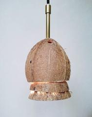 Retractable Coconut Lamp