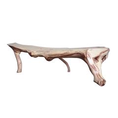 Tree Bench by Kaspar Hamacher