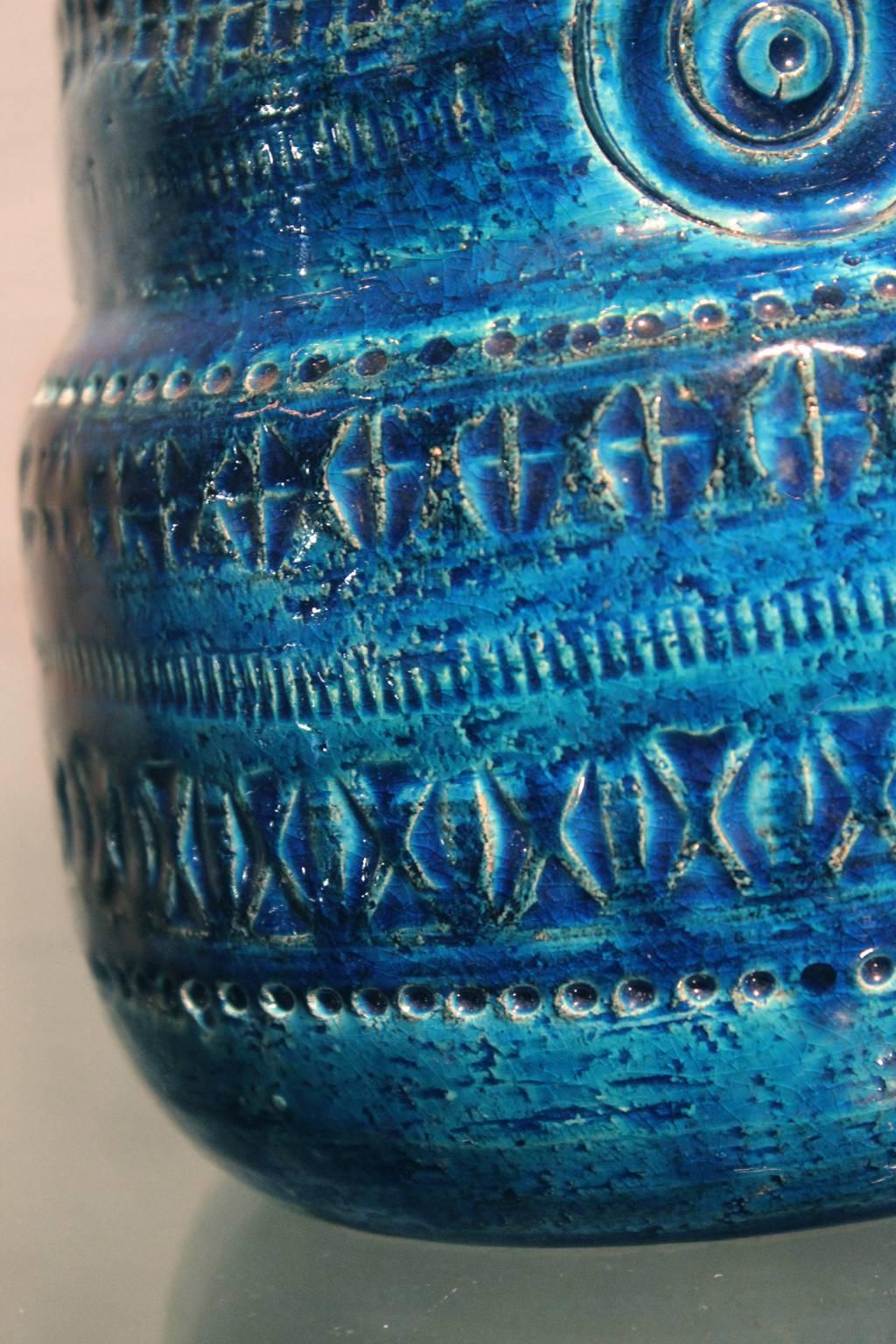 rosenthal netter owl