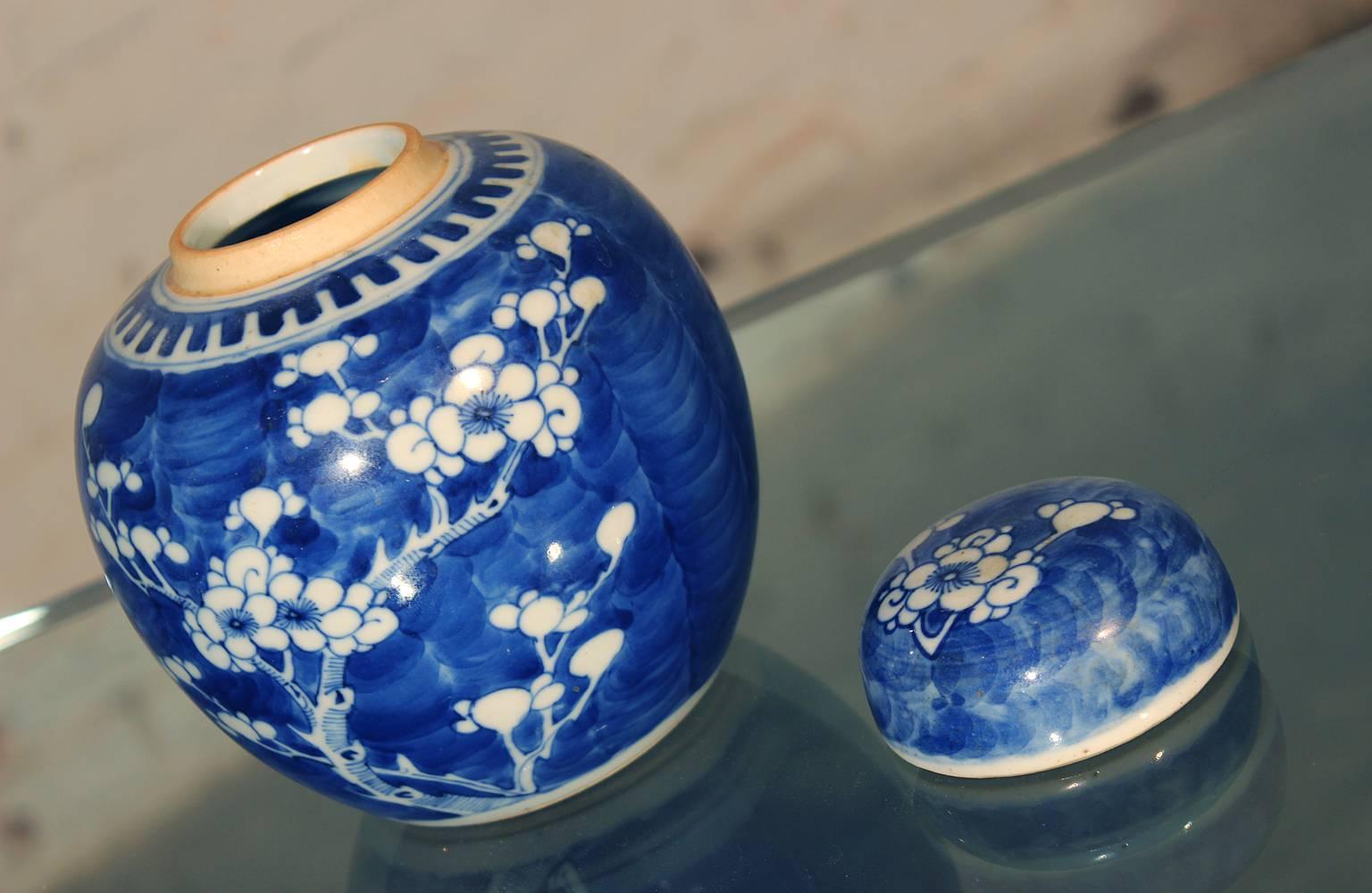 19th Century Chinese Blue and White Porcelain Ginger Jars