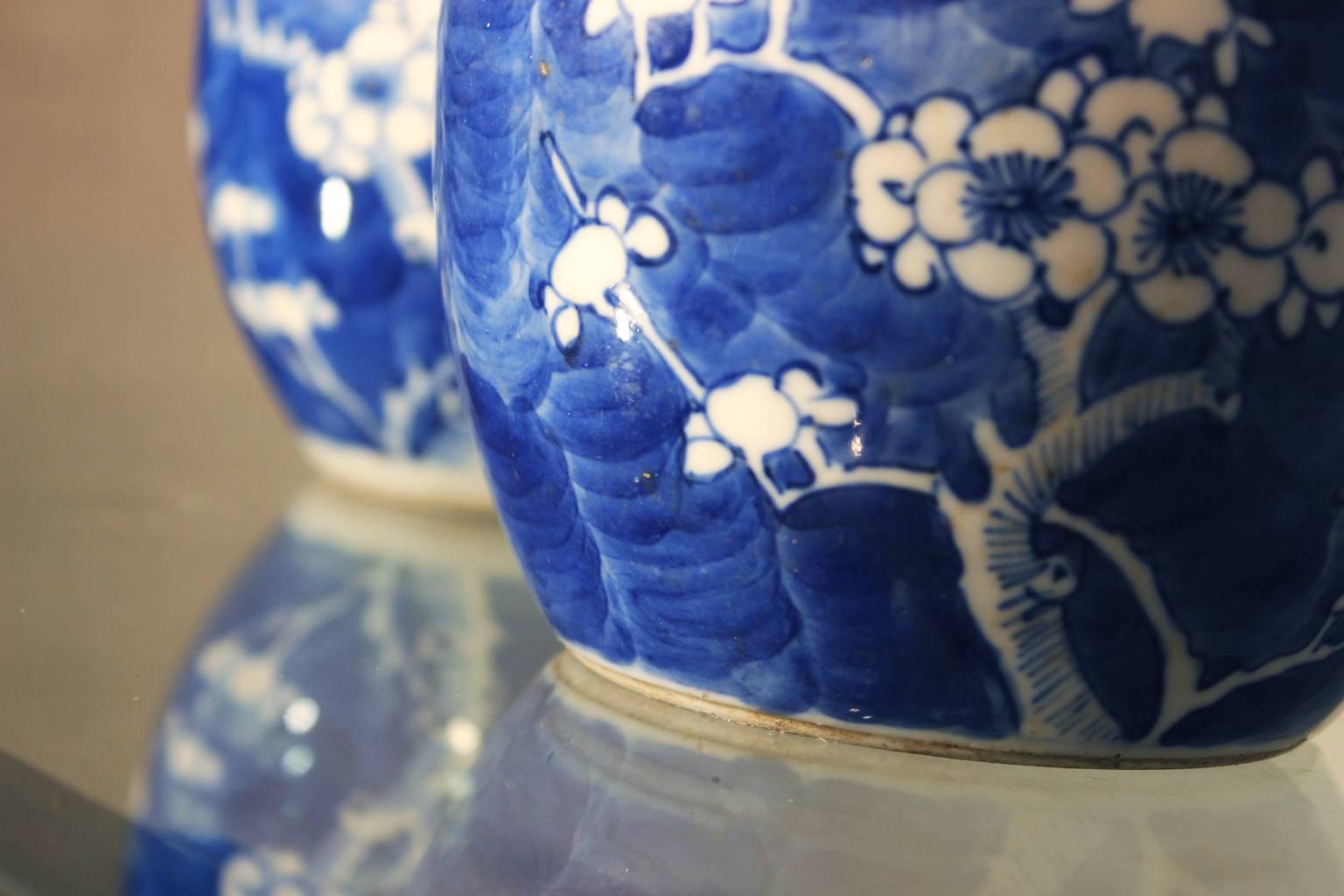 Chinese Blue and White Porcelain Ginger Jars 1