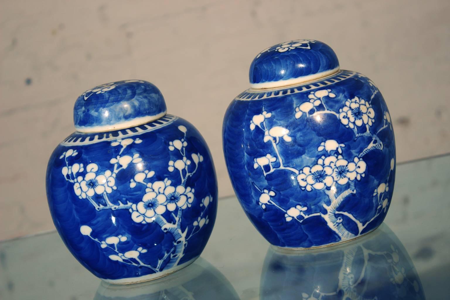 Chinese Export Chinese Blue and White Porcelain Ginger Jars