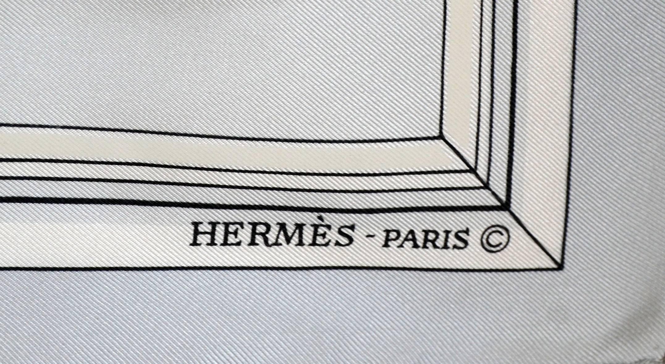 Hermes Silk 