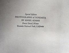 Ansel Adams Original Signed Gelatin Silver Print "Forest Detail, Winter"