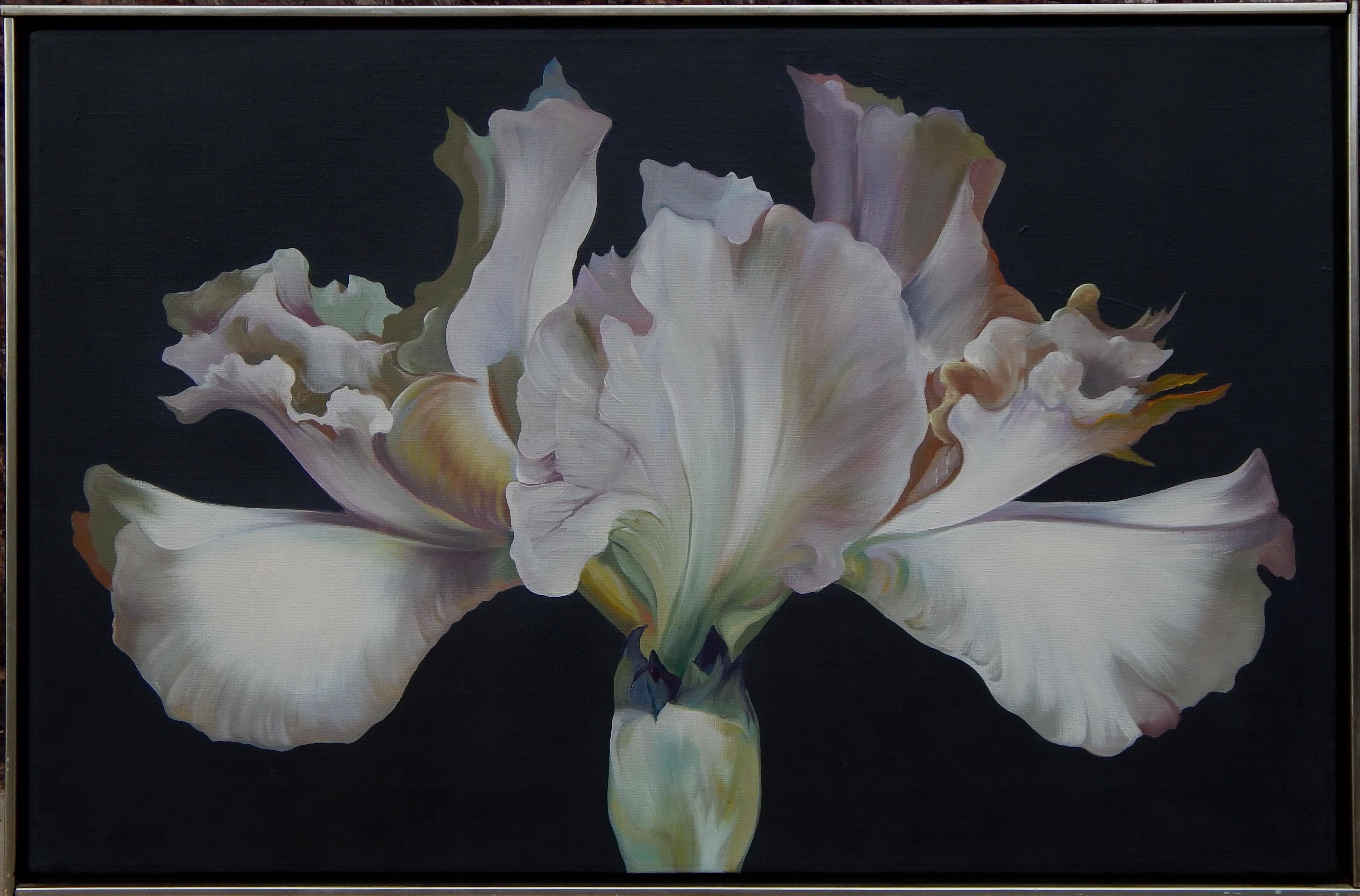 A beautiful example by well-known artist Lowell Nesbitt featuring dramatic pale Irises on a dark grey ground.
Image size: 22