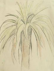Original Drawing by Joseph Stella, Palm Tree