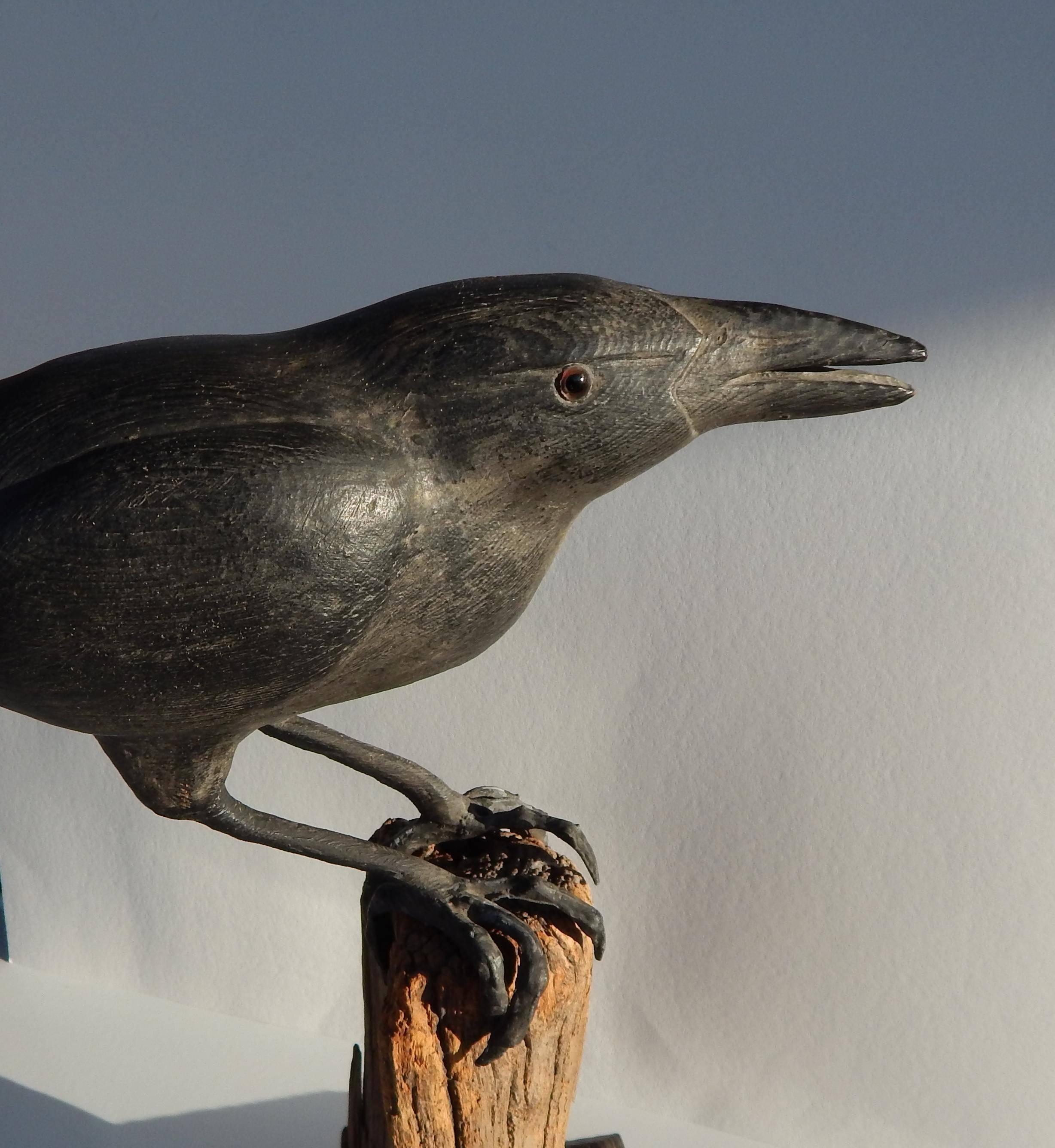 wood carved raven