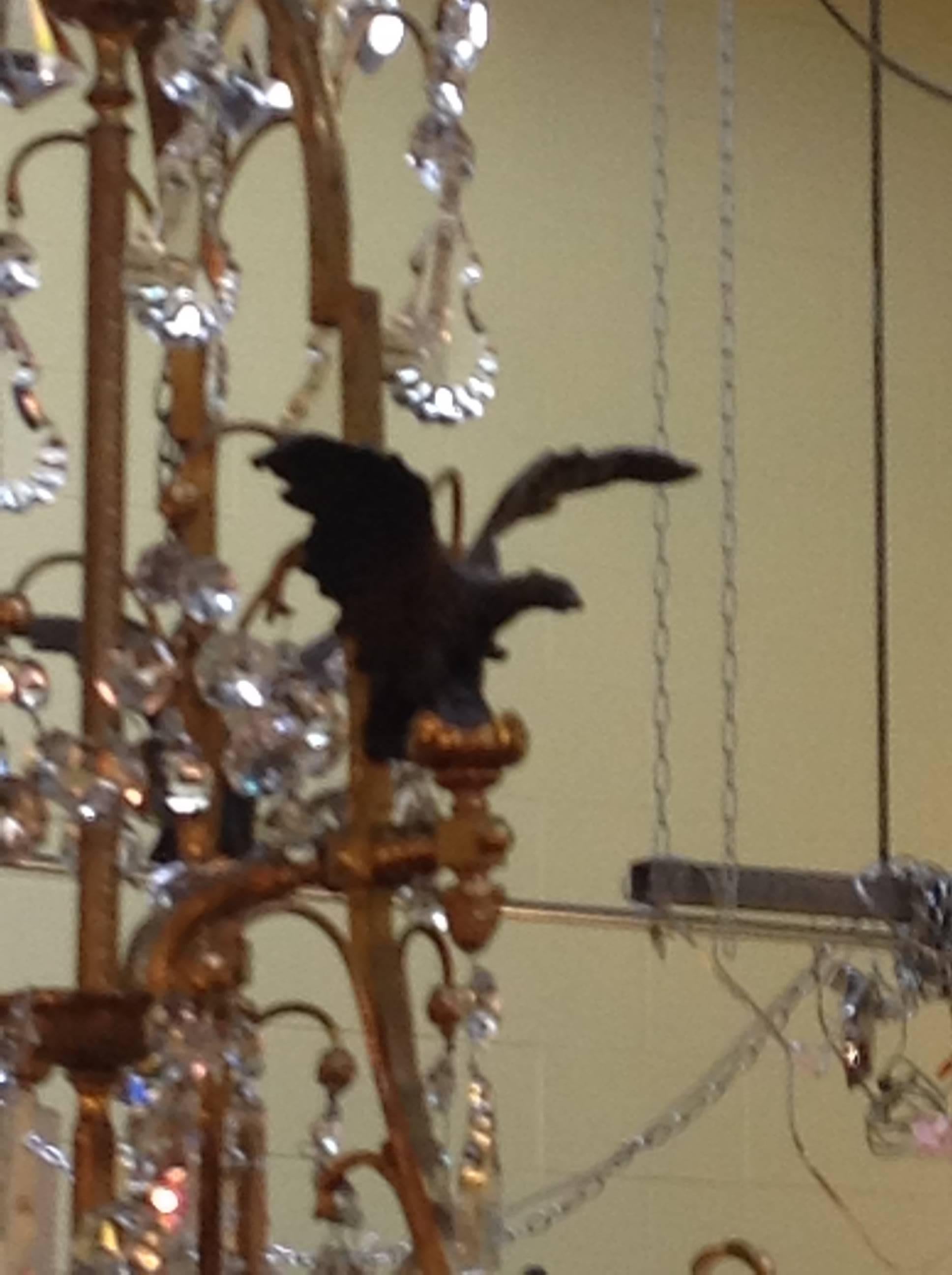 French Empire Revival Crystal Chandelier with Dore Bronze and Metal Eagles For Sale 1