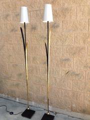 Pair of Iron Organic Floor Lamps Imported from France