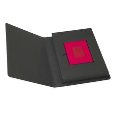 Nan Goldin "Main de Jens sur le dos de Clemen, Paris"