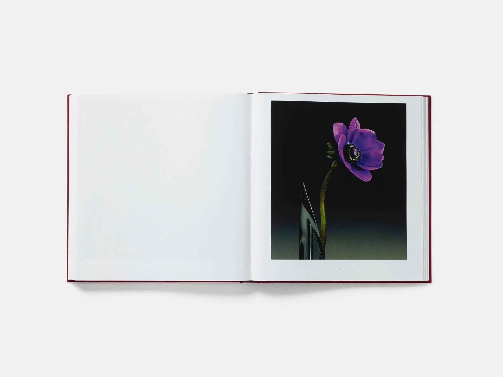 robert mapplethorpe coffee table book