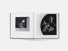 Robert Mapplethorpe Flora The Complete Flowers Book