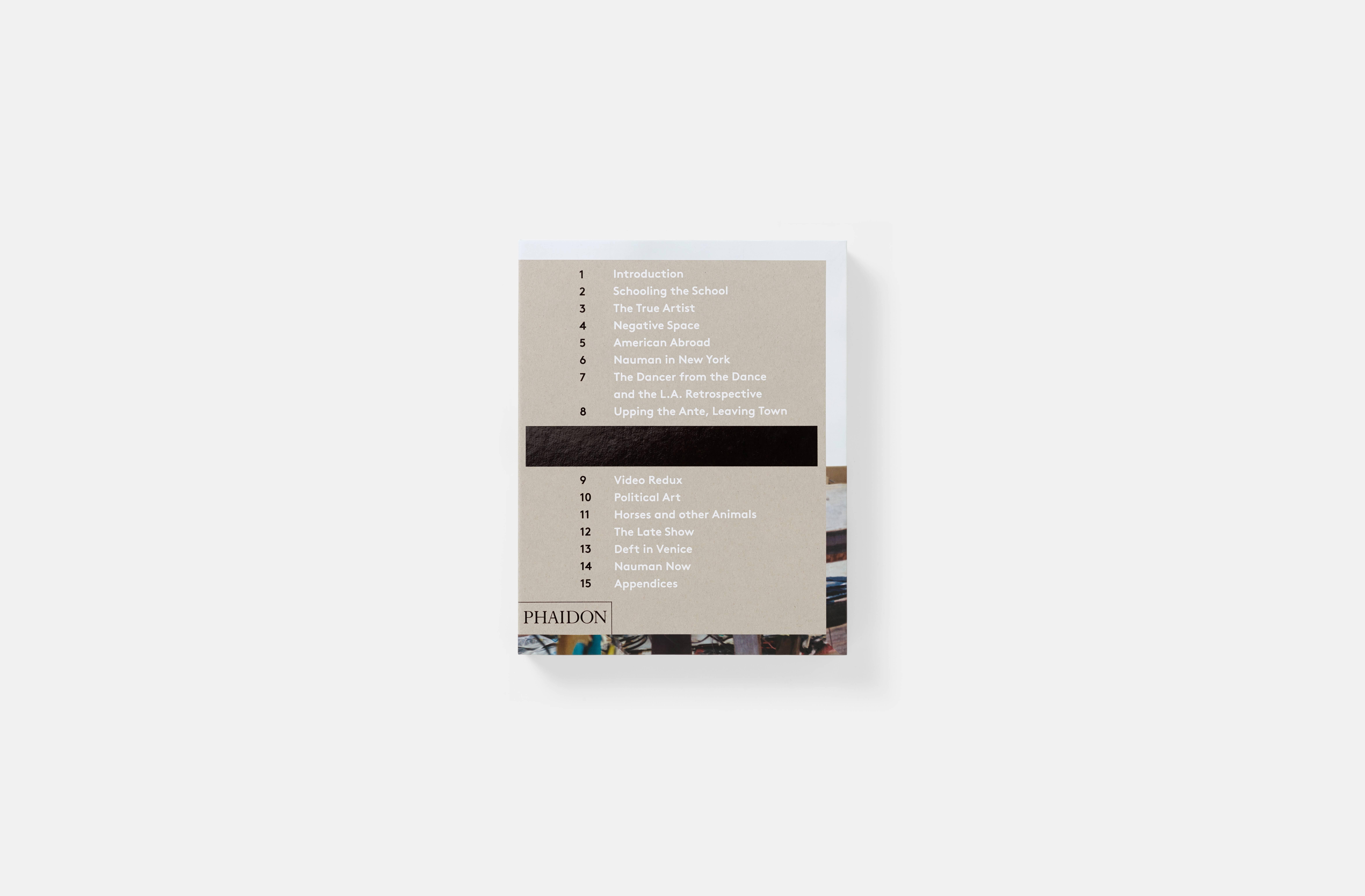 bruce nauman book