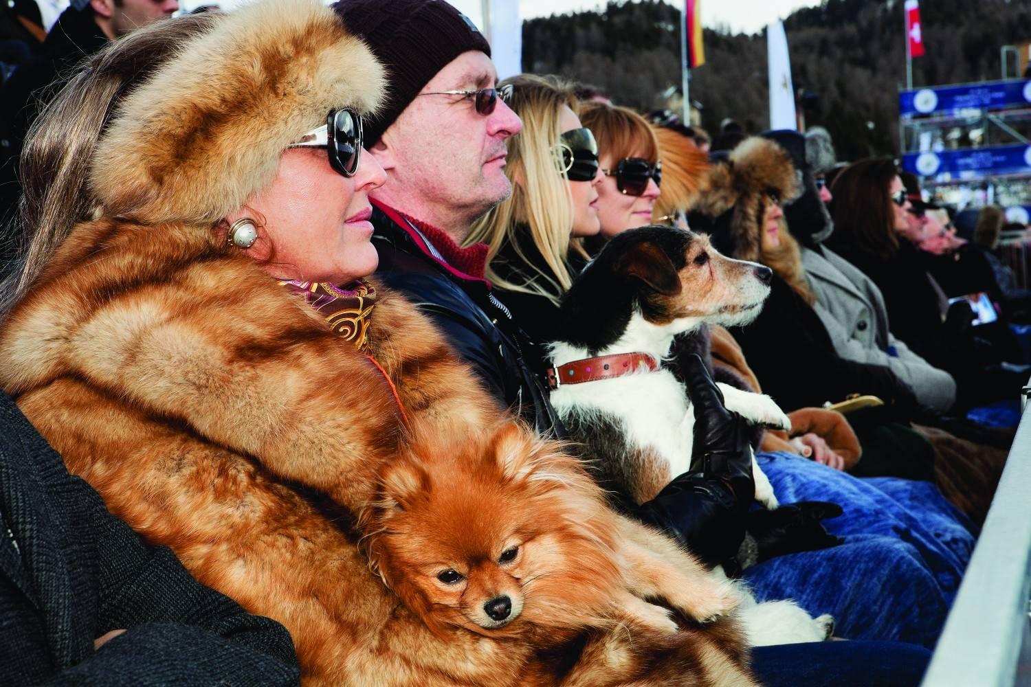 XXIe siècle et contemporain Monographie de Martin Parr 2e édition en vente