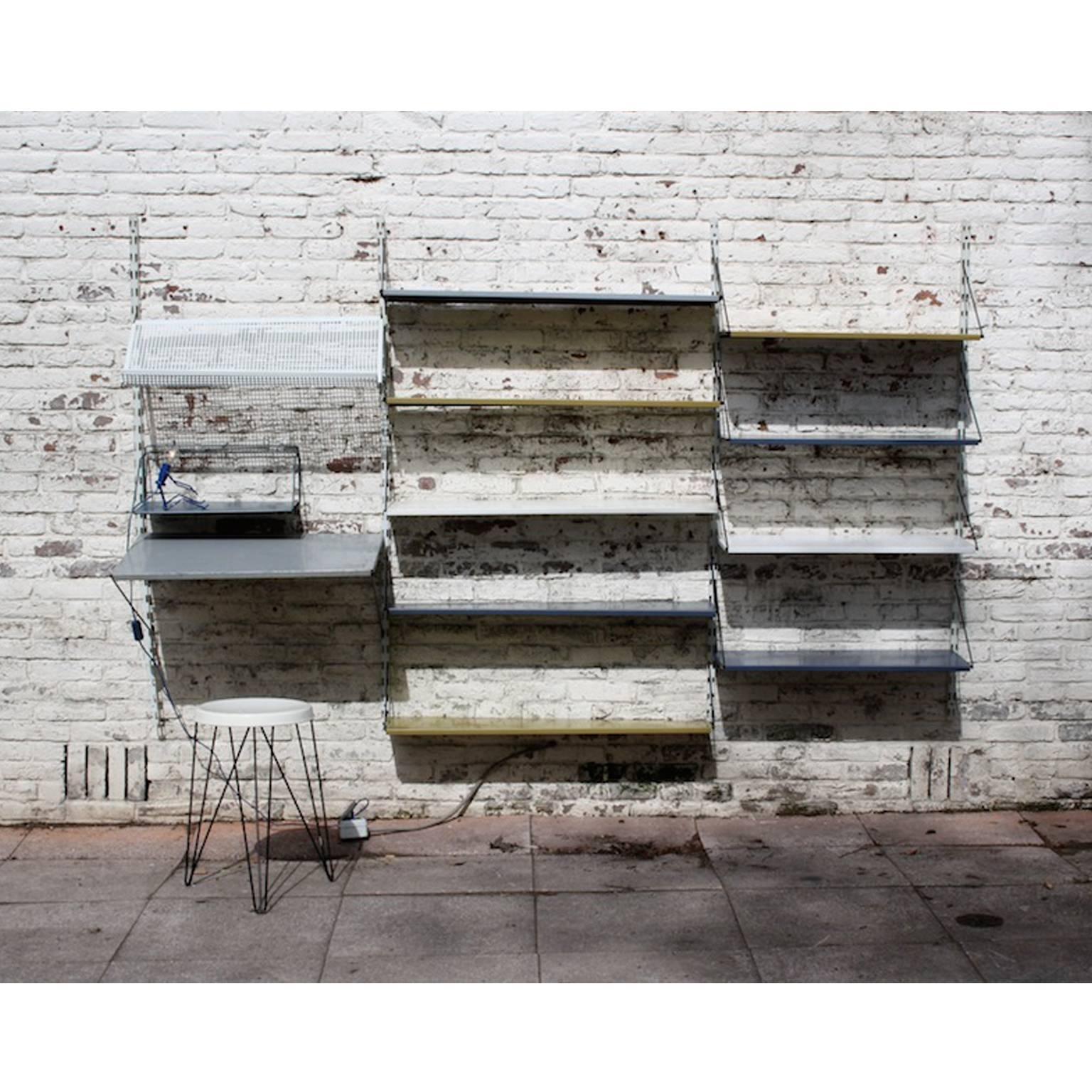 Mid-Century Modern Wall System or Unit by Tjerk Reijenga for Pilastro, Dutch Design, 1955 For Sale