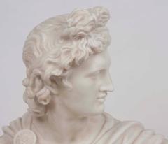 19th Century White Marble Bust of Apollo Belvedere