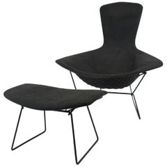 Vintage Bird Chair and Ottoman by Harry Bertoia for Knoll