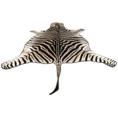 Grade "A" Equus Burchell Zebra Skin Rug