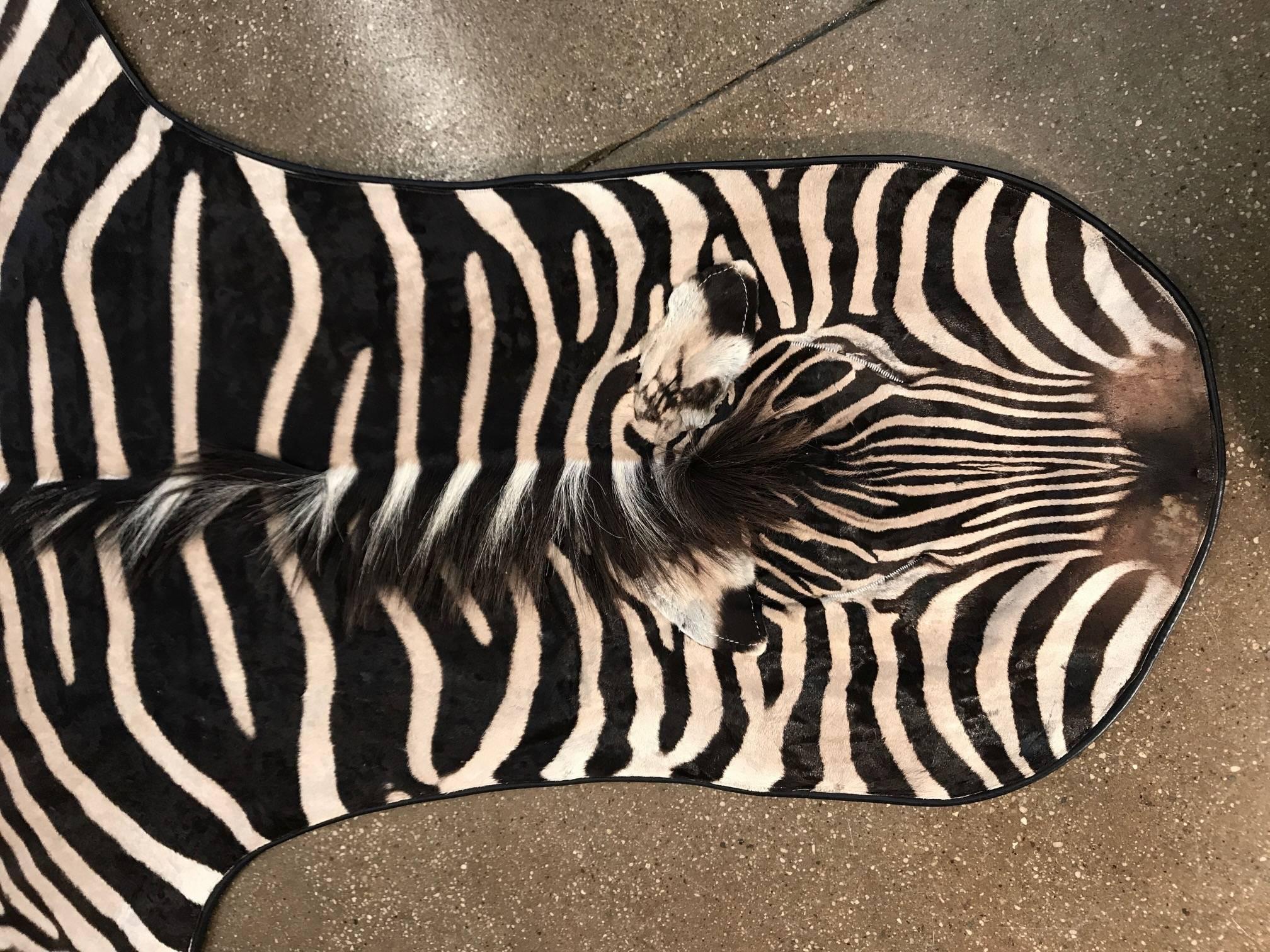 Beautiful grade “A” zebra skin rug lined with canvas and finished with leather trim
Measures: 9' x 5'2'' Long excluding the tail
Wide variety of hides in different sizes  



 