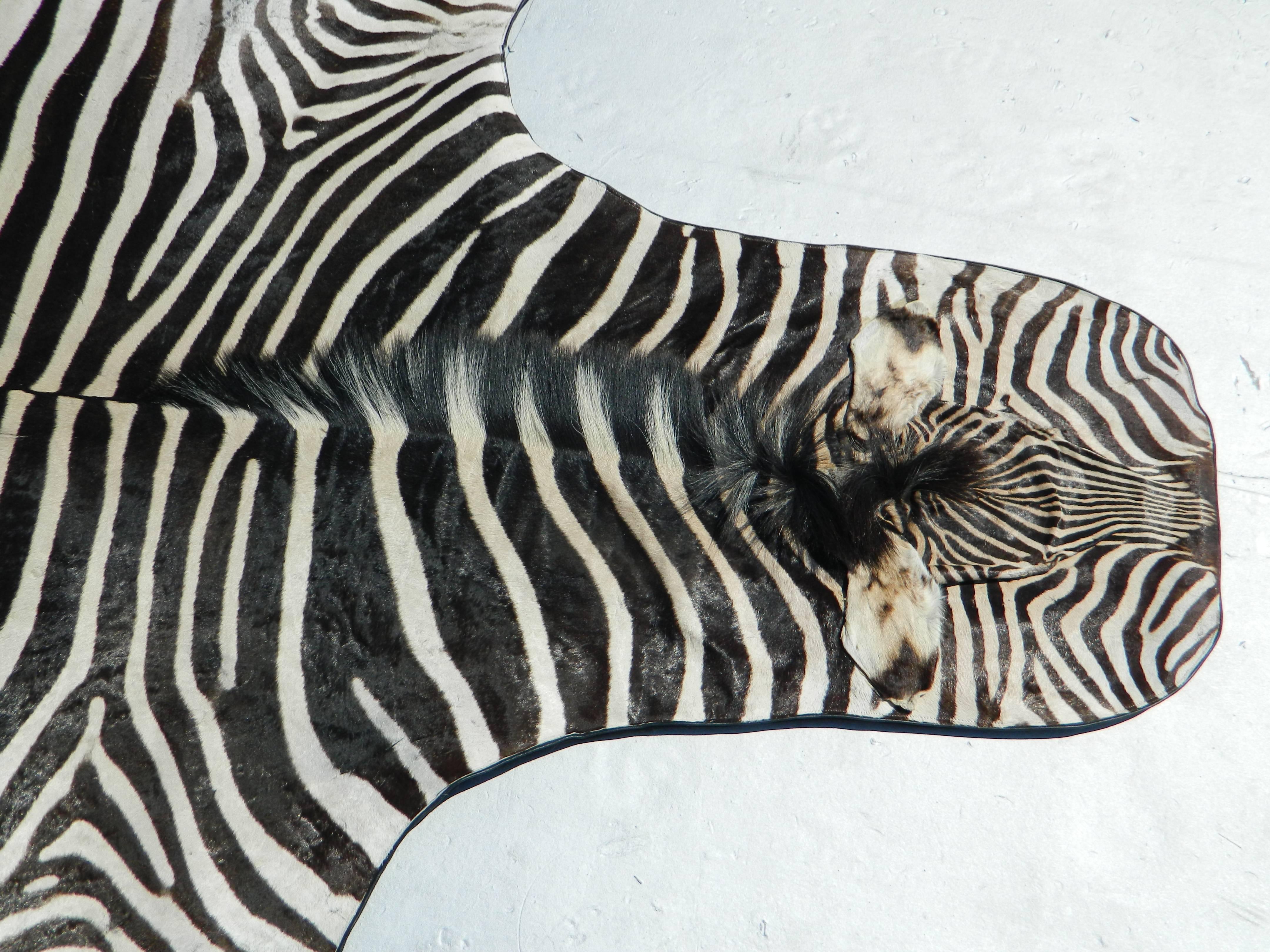 Beautiful grade “A” zebra skin rug lined with canvas and finished with leather trim.
8' Long excluding the tail 
Large selection of hides of different qualities and sizes for rugs and upholstery.
Please contact us for more information.

 