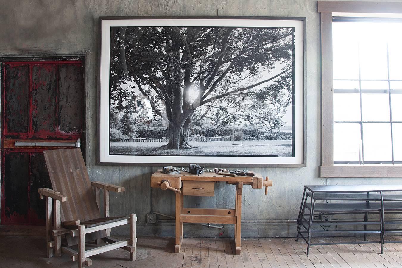 Beautiful black and white framed photograph of a tree in shelter Island by a New York photographer Charles Baker.
Signed limited edition of 10 prints. Can be purchased unframed and in a smaller version.
Please contact us for more information,