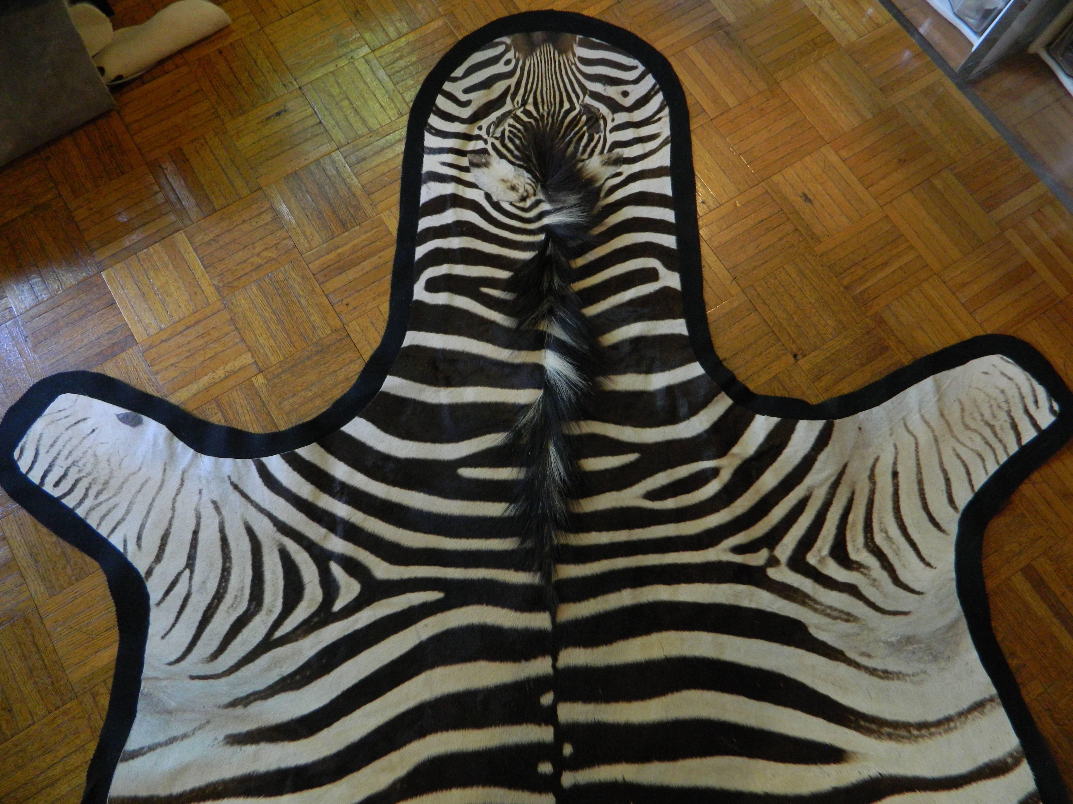 Zebra Hide Grade A Equus Burchell Zebra Skin Rug with Felt Backing