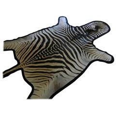 Grade A Equus Burchell Zebra Skin Rug with Felt Backing